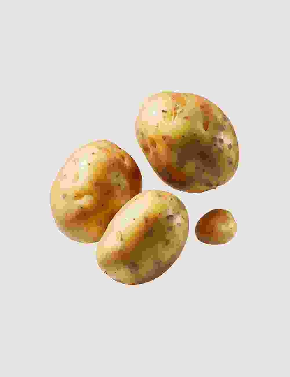 Shop Secondary Image